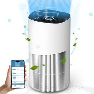 Hf84fe3a0baad46aeb78057b09b0d7cb7f.jpg_300x300q80.jpg Air Purifier for Home Large Room Personal for Smoking