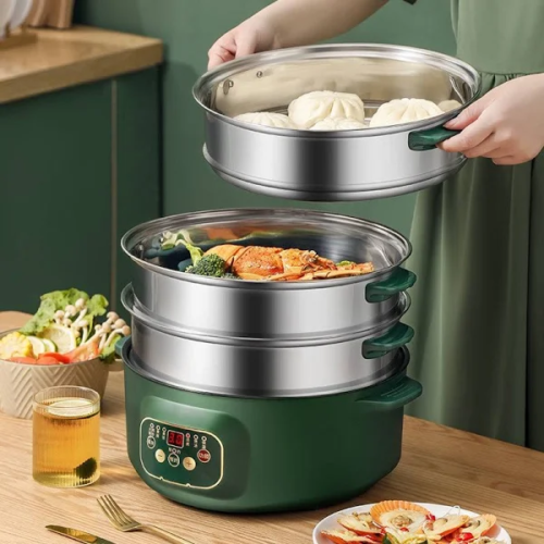 Multi Functional Electric Steamer